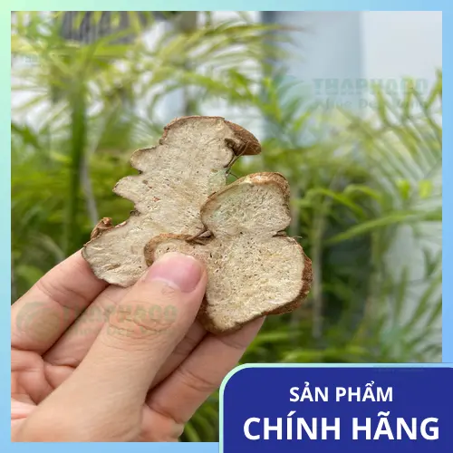 Giá Bạch Truật khô tại THAPHACO