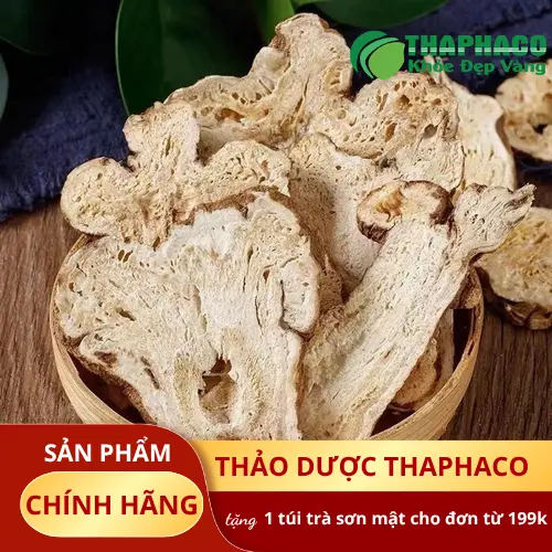 Phân biệt Bạch Truật khô thật giả