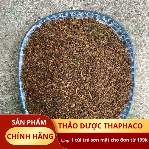 Lợi ích của nụ vối cho sức khỏe