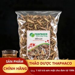 Cây Dền Gai Khô - Thảo Dược Thiên Nhiên Hỗ Trợ Sức Khỏe