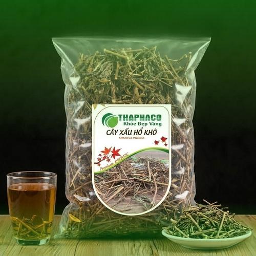 Toàn cảnh cây xấu hổ mọc tự nhiên