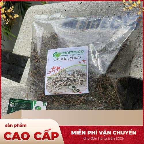 Đặc điểm lá và thân cây xấu hổ