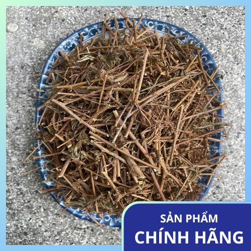 Bảo quản dược liệu cây xấu hổ đúng cách