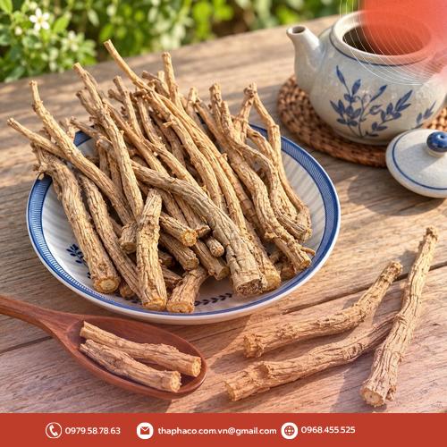 Lưu ý khi sử dụng phòng phong sấy khô