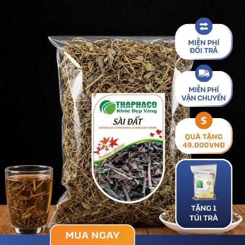 Tổng quan về cây sài đất trong tự nhiên