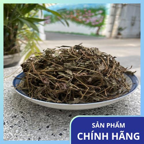 Sơ chế sài đất tươi làm thảo dược